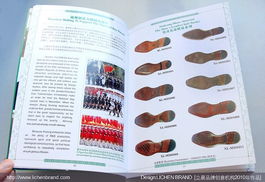 立晨攜手秀龍鞋材，打造專業(yè)產(chǎn)品畫(huà)冊(cè)與網(wǎng)頁(yè)設(shè)計(jì)