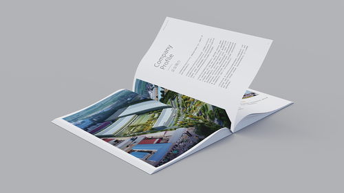 溫州企業(yè)形象與食品品牌宣傳冊設計 融合網頁設計理念的視覺新篇