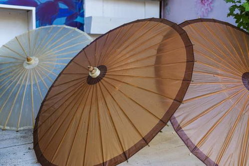 數字化升級，共創美好未來——紙世界網的紙制品銷售新篇章